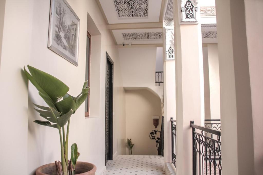 Riad Amazing Марракеш Екстер'єр фото